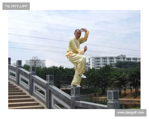 南拳传承人林志远探讨福建白鹤拳的数字化教学体系创新